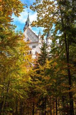 Almanya 'daki Neuschwanstein kalesi