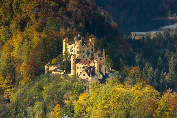 Schwangau castle in Germany — Stock Photo, Image