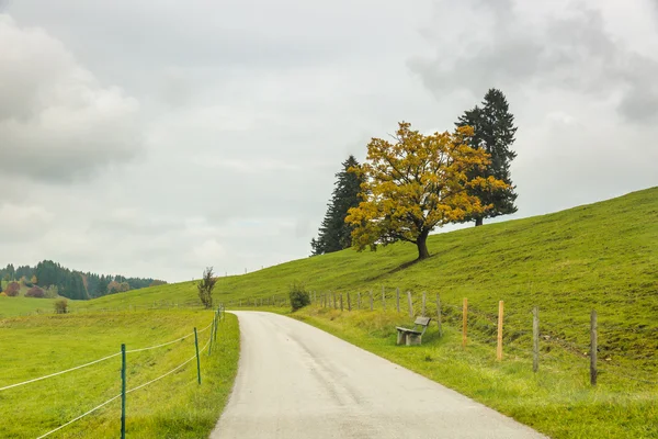 Romantická cesta, Německo — Stock fotografie