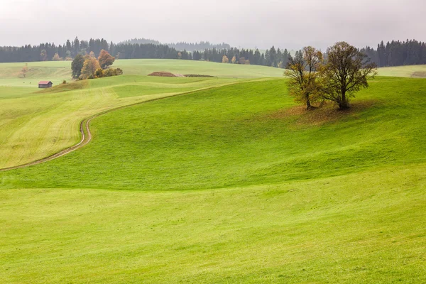 Romantická cesta, Německo — Stock fotografie