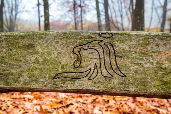 Vibraciones de otoño en Luxemburgo — Foto de Stock