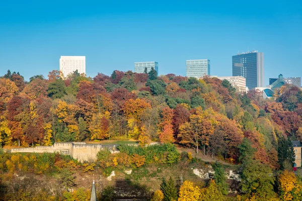 Herfst trillingen in Luxemburg — Stockfoto