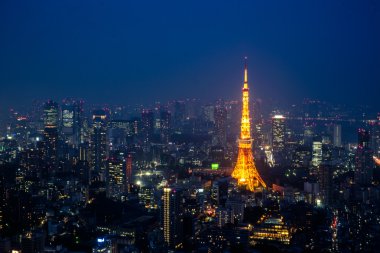 Tokyo gece cityscape