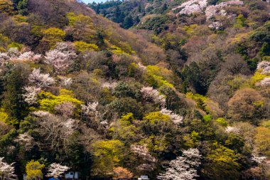 Arashiyama, Kyoto Japonya