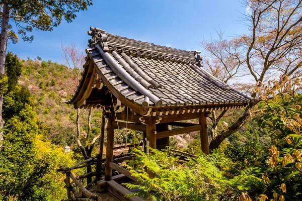 Arashiyama forest in Japan — Stock Photo, Image