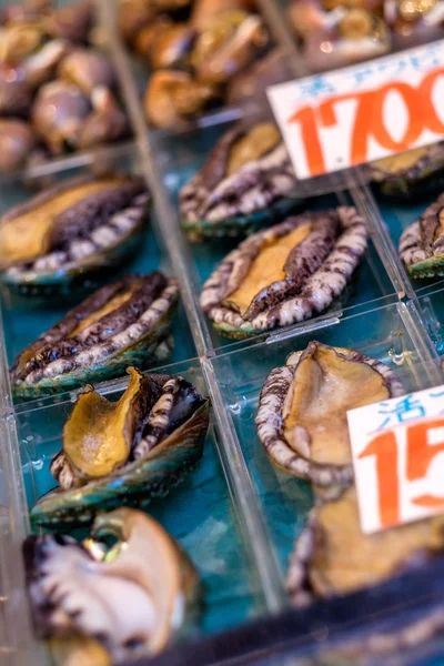 Fruits de mer à l'haliotide au Japon — Photo