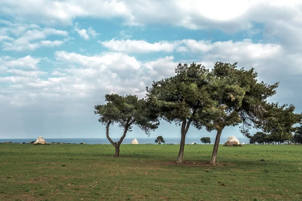 Puglia seaside landskap — Stockfoto