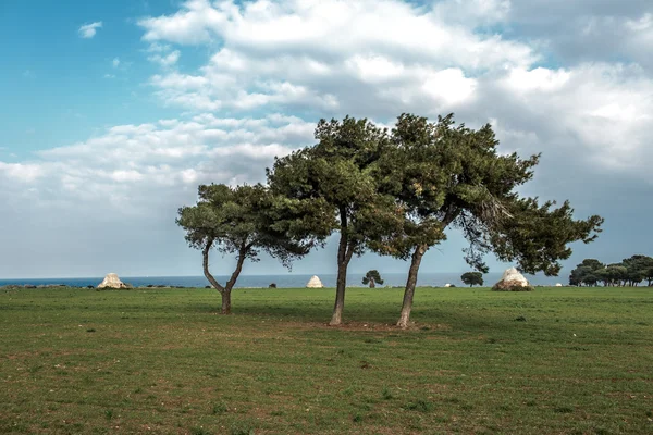Puglia seaside landskap — Stockfoto