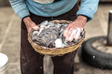 Bari eski balıkçı limanı