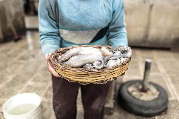 Bari antigo porto de pesca — Fotografia de Stock