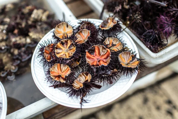 Sea urchins seafood — Stock Photo, Image