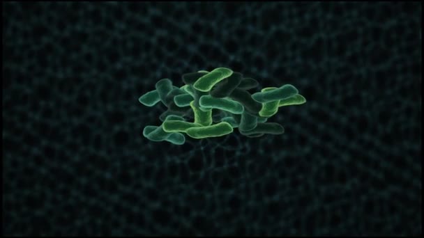 Renderização de alta qualidade de bactérias sob o microscópio — Vídeo de Stock