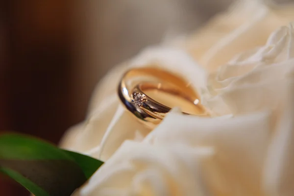 Anillos de boda — Foto de Stock