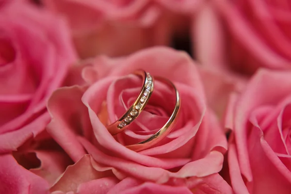 Anillos de boda — Foto de Stock