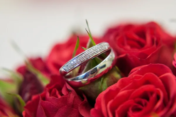 Anillos de boda — Foto de Stock