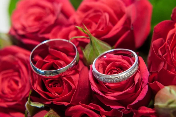 Anillos de boda — Foto de Stock