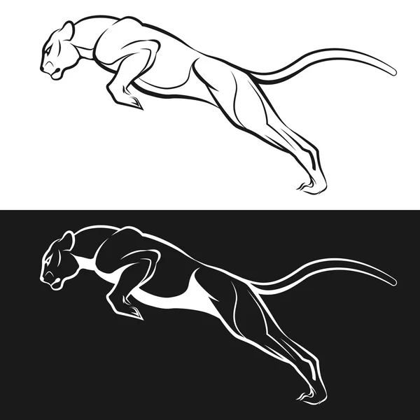 Puma en blanco y negro — Vector de stock