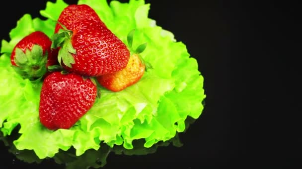 O morango acende uma folha de salada verde — Vídeo de Stock