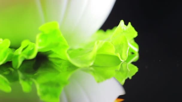 Assiette blanche se tient sur une feuille de salade et de filature — Video