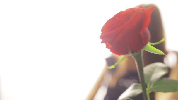 La rosa sullo sfondo delle ragazze — Video Stock