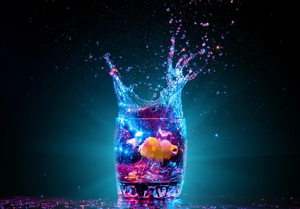 Colorful cocktail with splashes — Stock Photo, Image