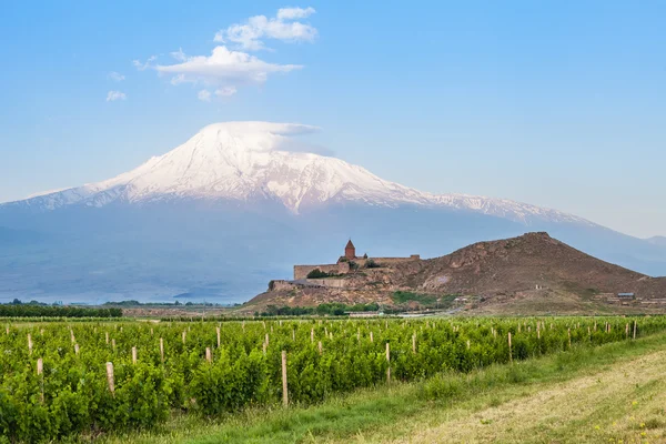 Khor Virap ve Ağrı Dağı — Stok fotoğraf