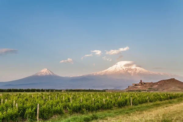 Khor Virap a Mount Ararat — Stock fotografie