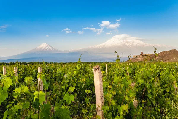 Khor Virap och berget Ararat — Stockfoto