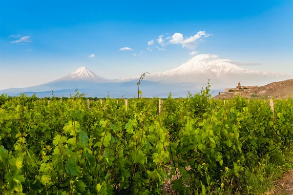 Khor Virap znacznie i góra Ararat — Zdjęcie stockowe