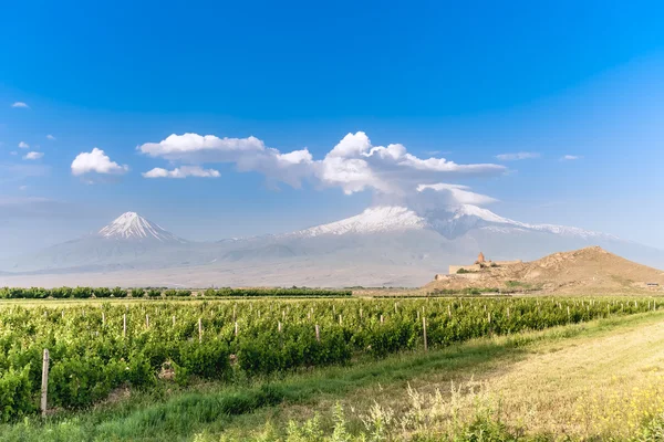 Khor Virap och berget Ararat — Stockfoto