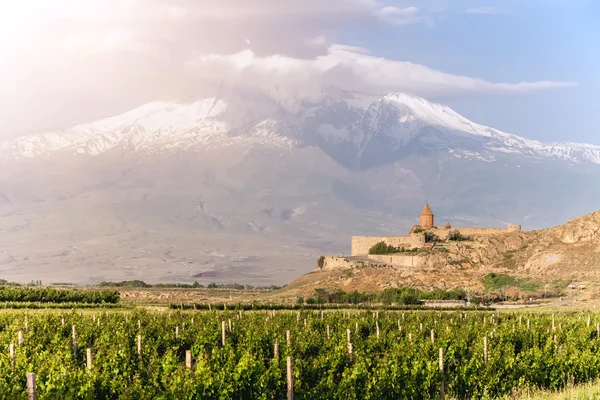 Khor Virab en de berg Ararat in Turkije — Stockfoto