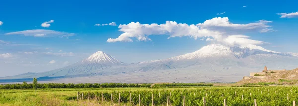 Khor Virab en de berg Ararat in Turkije — Stockfoto