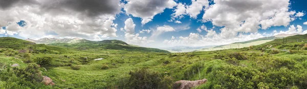 Prato verde in montagna — Foto Stock