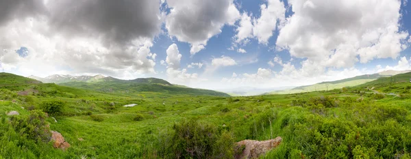 Dağlar yeşil çayır — Stok fotoğraf