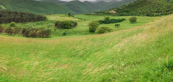 在山中的绿色草原 — 图库照片