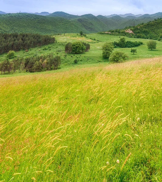 Pradera verde en las montañas — Foto de Stock