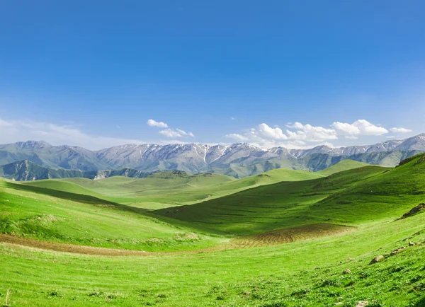 Tepeler ve bulutlu gökyüzü — Stok fotoğraf