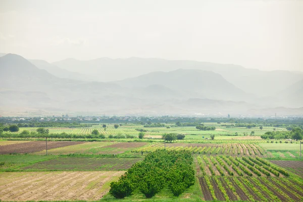 Meadow, hills and blue sky — Stock Photo, Image