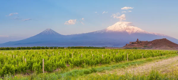 Khor virap und Mount ararat — Stockfoto