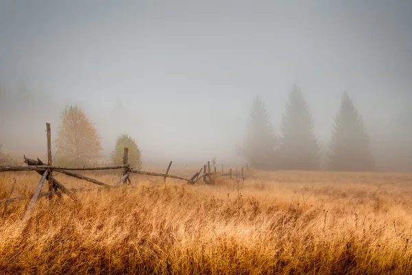 Fog in the autumn field — Stock Photo, Image