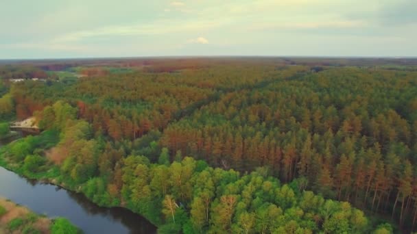 Hermoso panorama del río — Vídeos de Stock