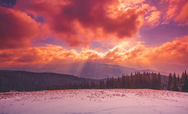 Incredibile paesaggio invernale sera — Foto Stock