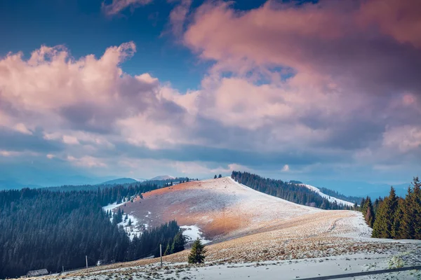 Montagne carpatiche in inverno — Foto Stock