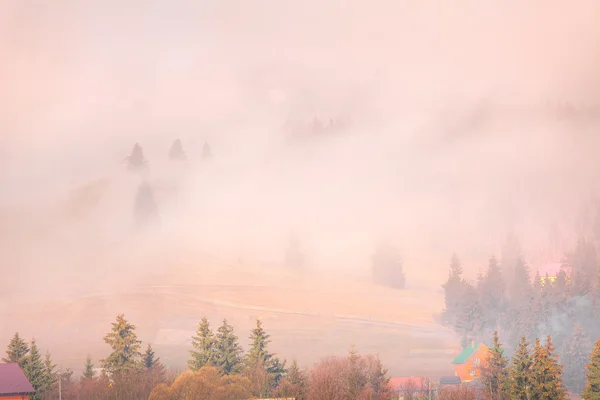 안개낀 가을 풍경 — 스톡 사진