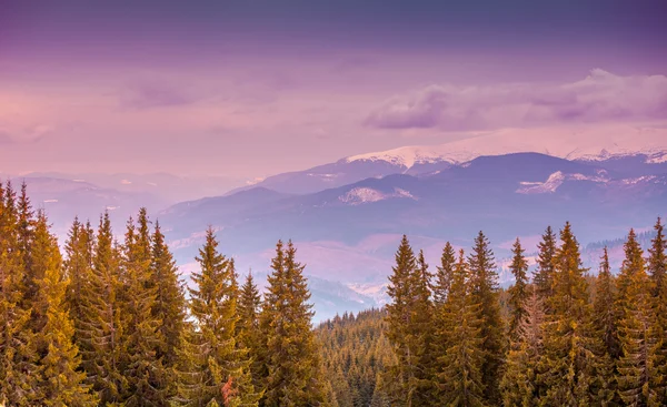 Fantásticos picos de montaña y bosque —  Fotos de Stock