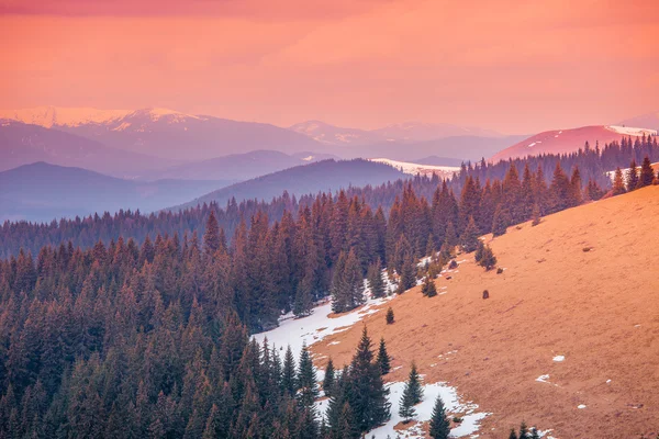 Karpat Dağları kış zamanında — Stok fotoğraf