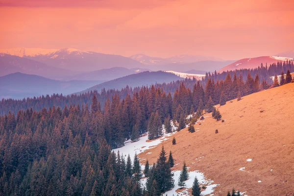 Karpaten in wintertijd — Stockfoto