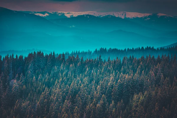 Fantastische Berggipfel und Wälder — Stockfoto