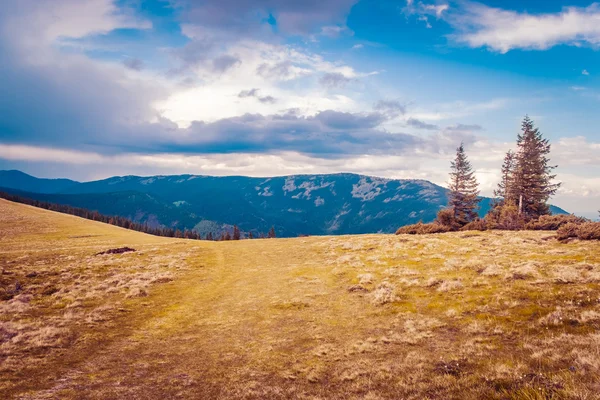 Berglandskap med skog och blå himmel — Stockfoto