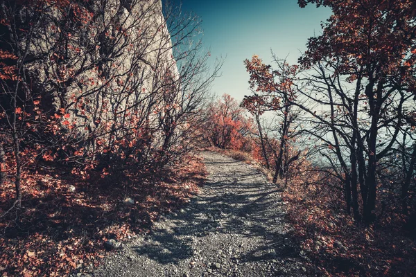 Droga w góry jesień — Zdjęcie stockowe